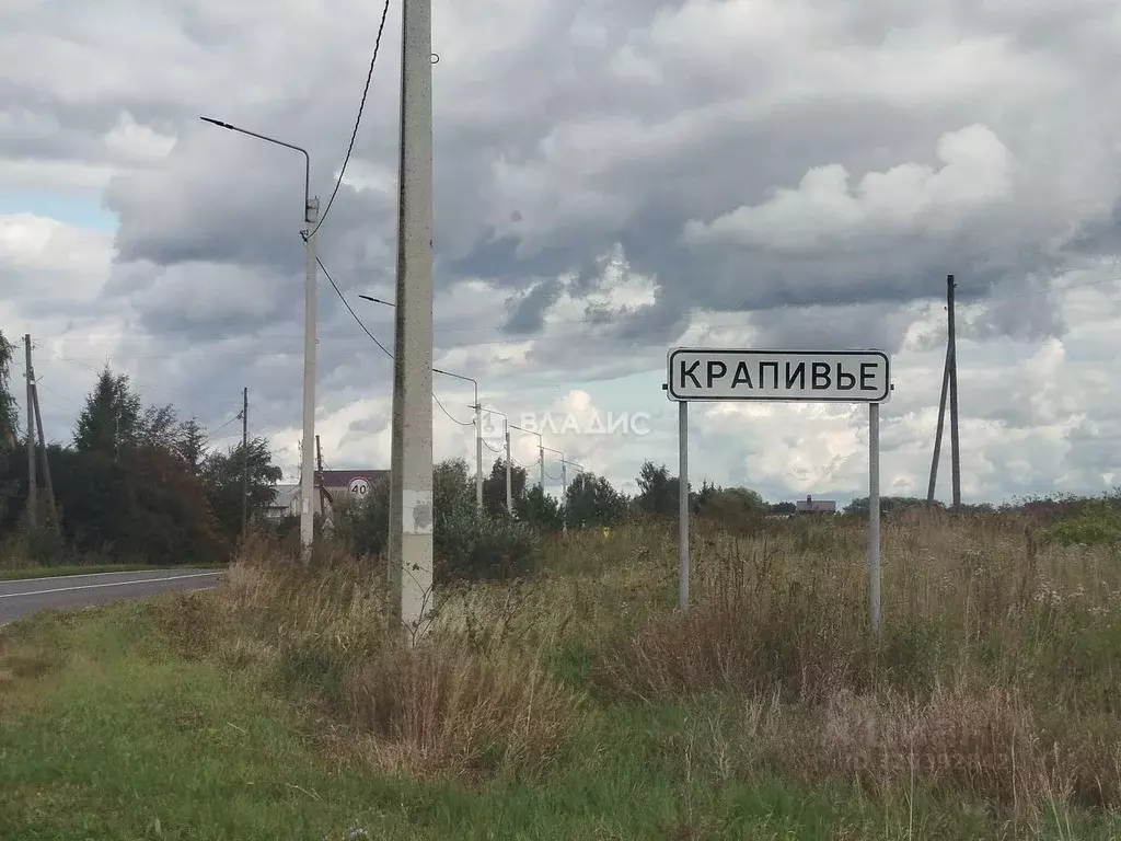 Участок в Владимирская область, Суздальский район, Селецкое ... - Фото 1