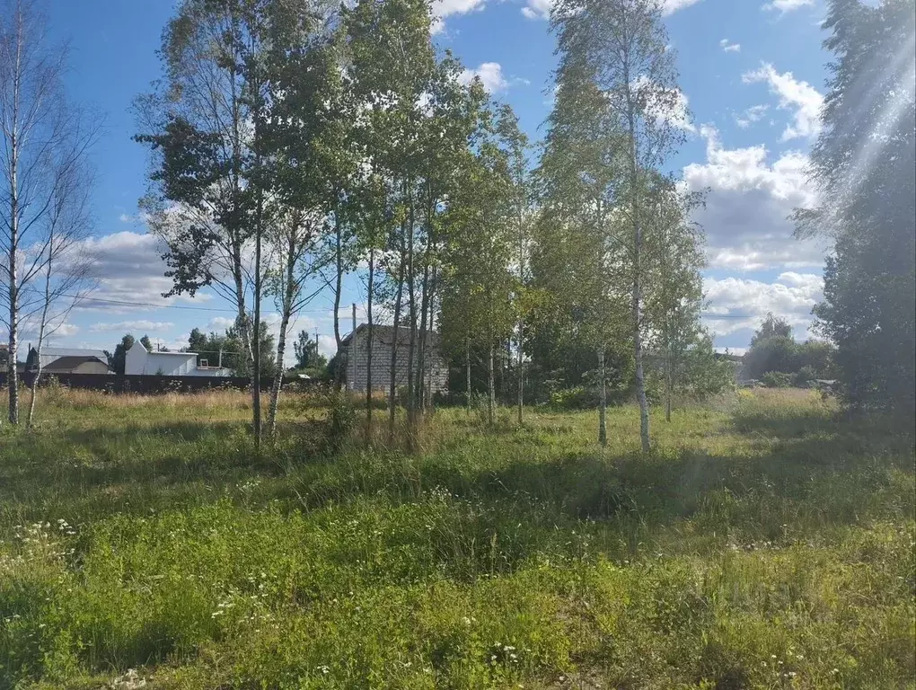Участок в Московская область, Рузский муниципальный округ, пос. ... - Фото 2