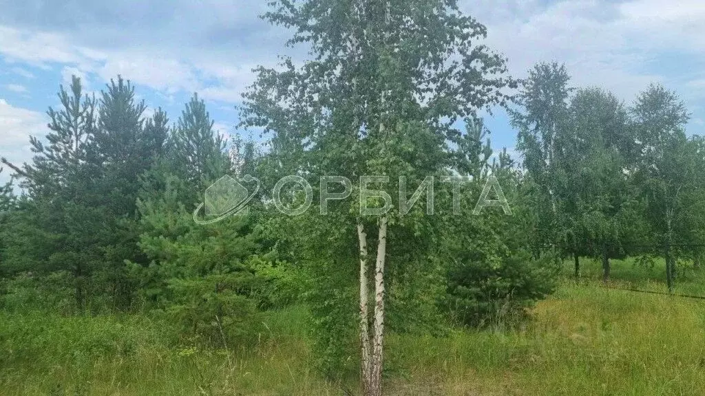 Участок в Тюменская область, Тюменский район, д. Коняшина  (7.5 сот.) - Фото 1