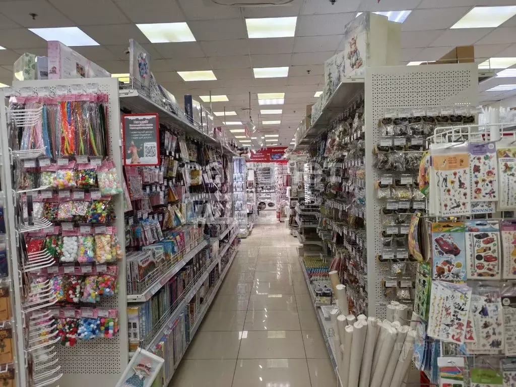 Помещение свободного назначения в Московская область, Подольск ... - Фото 2