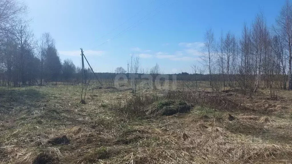 Участок в Смоленская область, Рославльский муниципальный округ, с. ... - Фото 1