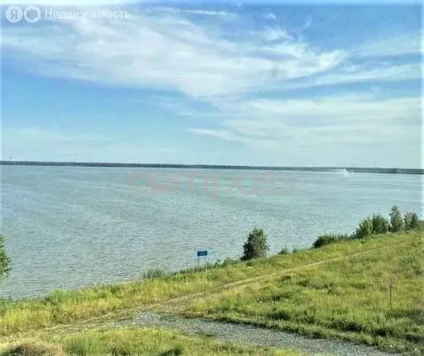 Участок в Ялуторовский район, село Сингуль Татарский (12 м) - Фото 1