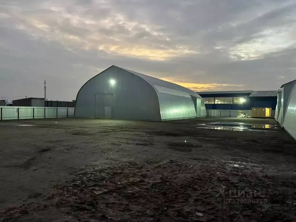 Склад в Московская область, Щелково городской округ, д. Медвежьи Озера ... - Фото 1