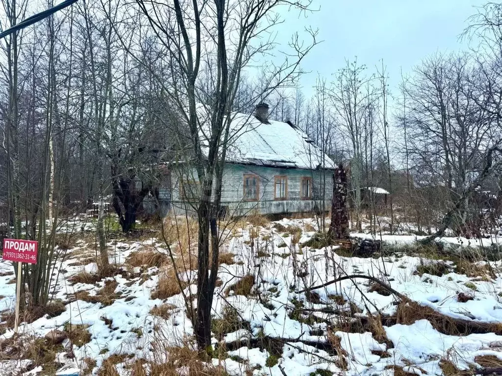 Участок в Ленинградская область, Всеволожский район, Рахьинское ... - Фото 0