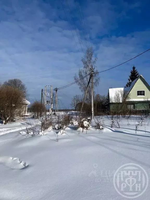 Участок в Ленинградская область, Лужский район, Заклинское с/пос, д. ... - Фото 2