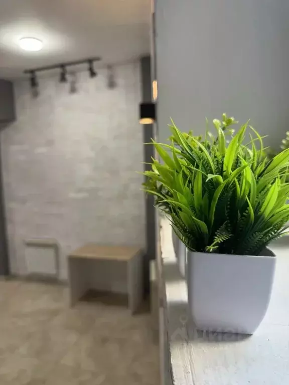 Офис в Иркутская область, Иркутск ул. Коммунаров, 16 (64 м) - Фото 1