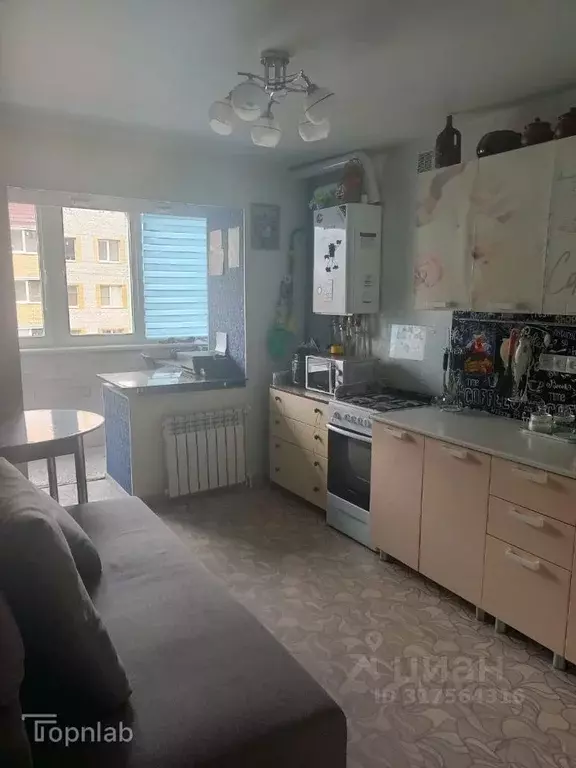 1-к кв. Тамбовская область, Тамбовский муниципальный округ, д. Крутые ... - Фото 1