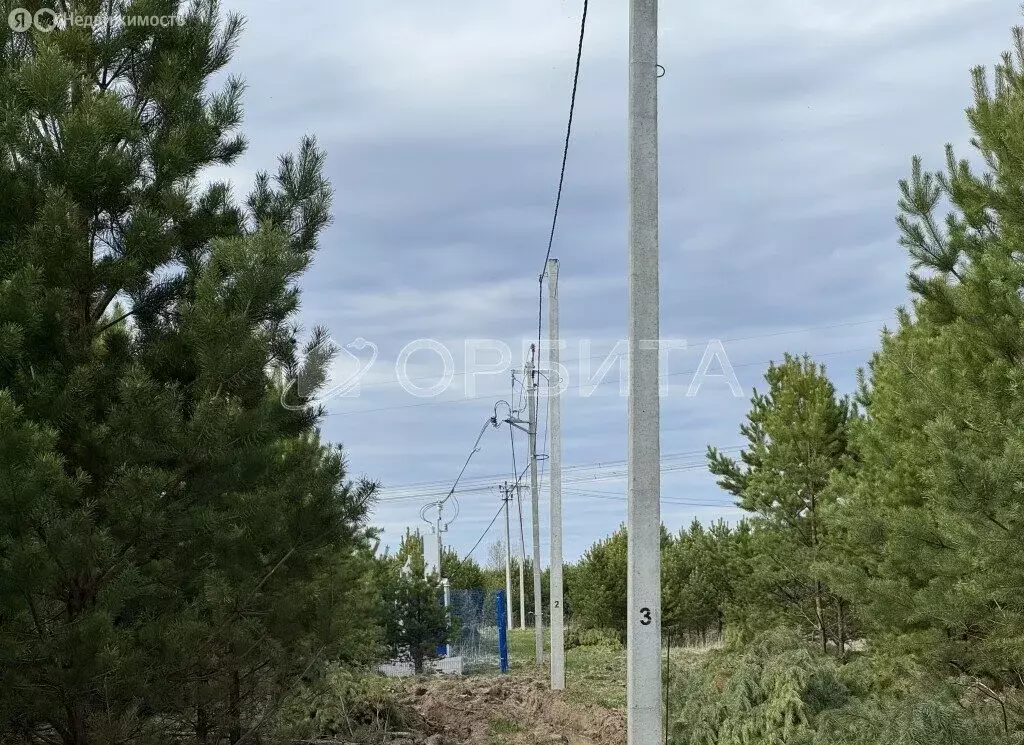 Участок в Усть-Ницинское сельское поселение, деревня Бурмакина, Новая ... - Фото 1