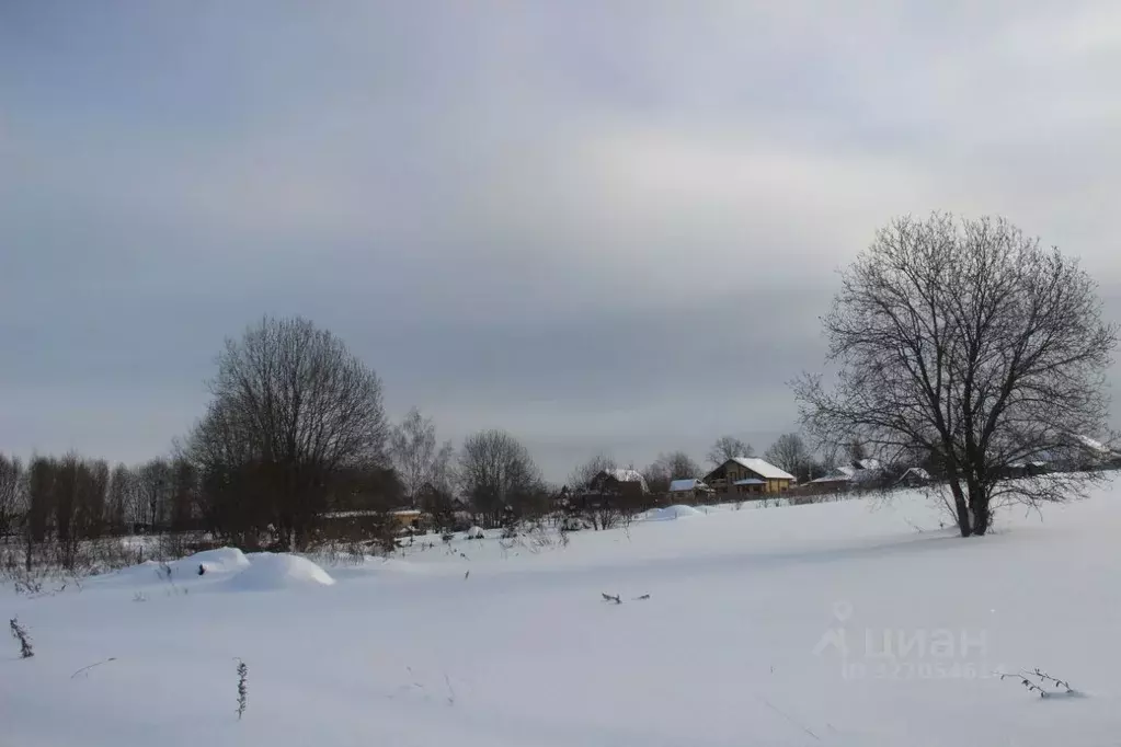 Участок в Московская область, Шаховская муниципальный округ, д. ... - Фото 2