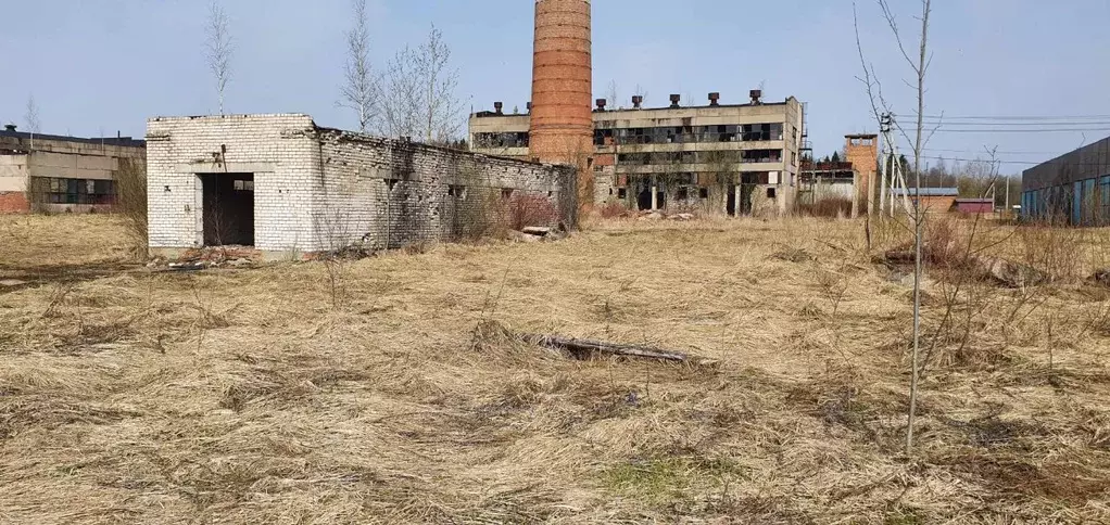 Производственное помещение в Тверская область, Нелидово Шахта № 1 мкр, ... - Фото 2