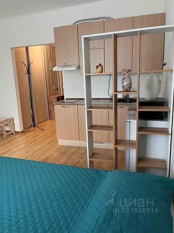 Студия Ленинградская область, Кингисепп ул. Воровского, 50к2 (27.0 м) - Фото 2