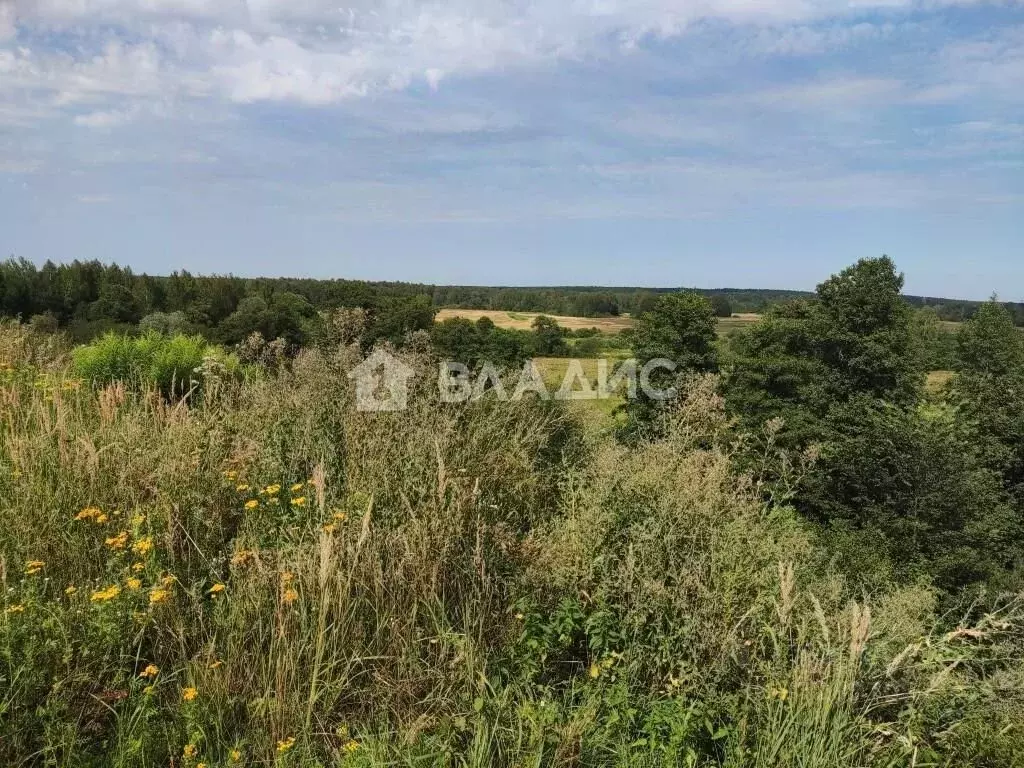 Участок в Владимирская область, Владимир Лунево мкр, ул. Шороновка, 29 ... - Фото 0