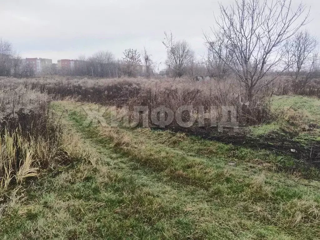 Участок в Брянская область, Брянский район, Снежское с/пос, пос. ... - Фото 1