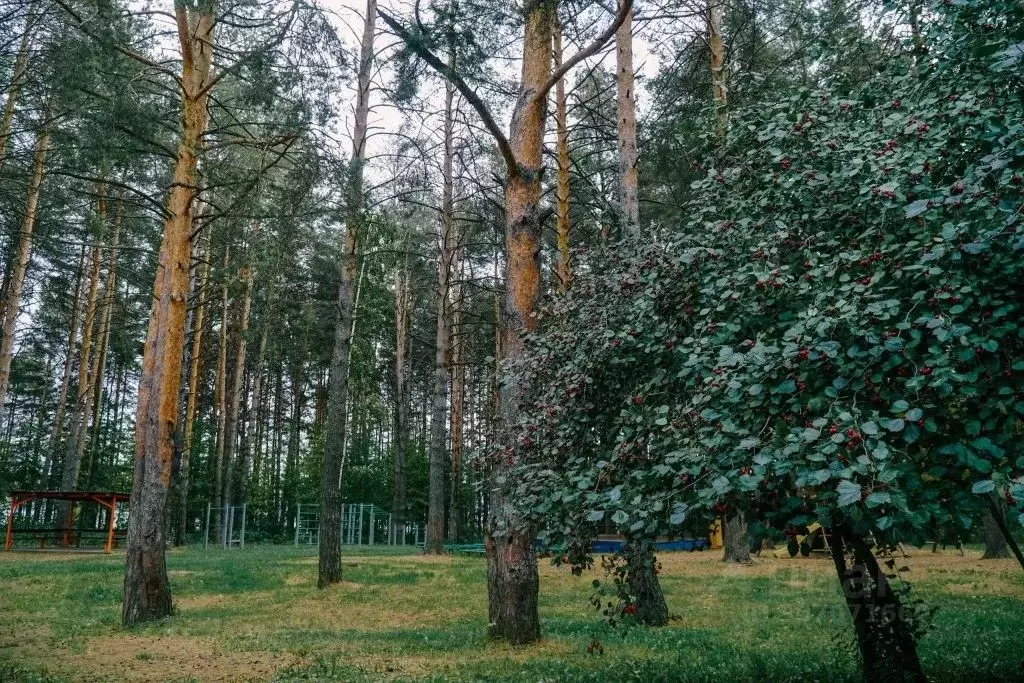 Комната Пермский край, Чайковский ул. Кабалевского, 41 (10.0 м) - Фото 1