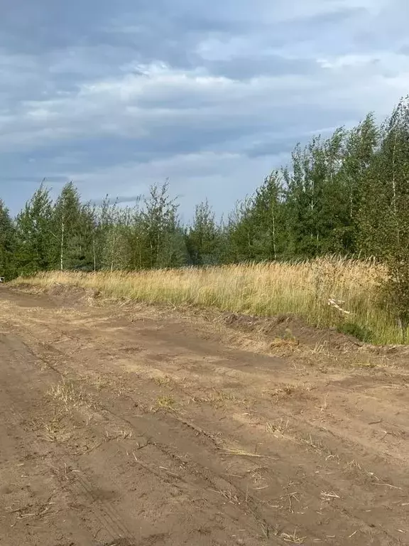 Участок В Медовке Воронеж Купить