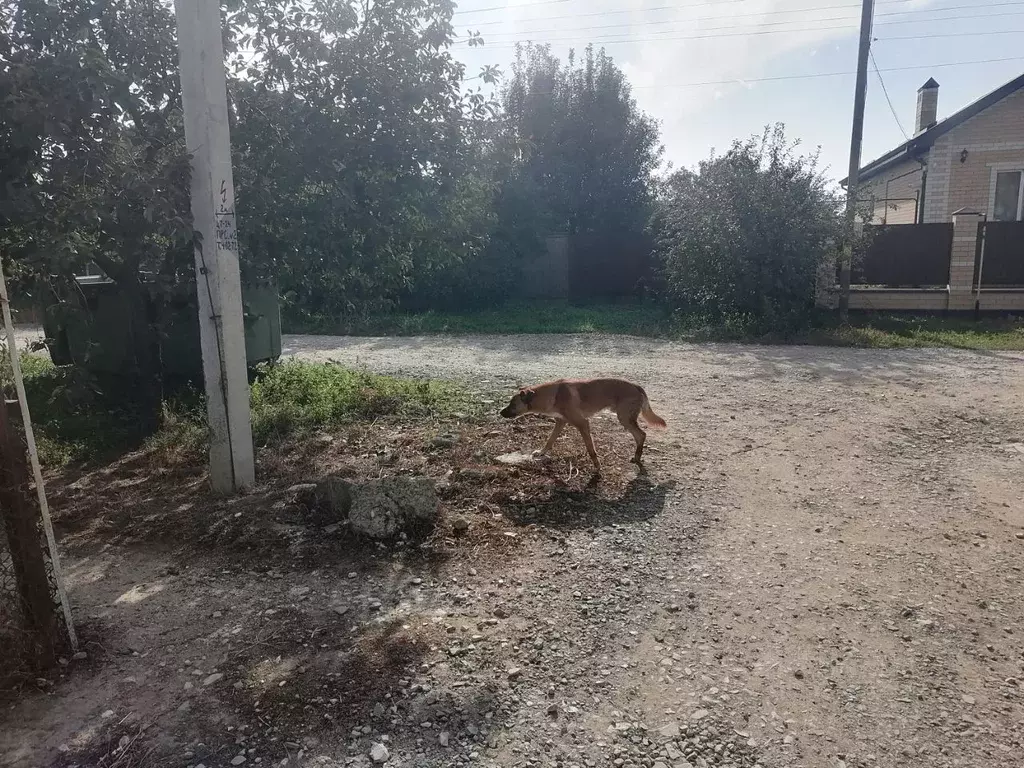 Участок в Краснодарский край, Славянск-на-Кубани Маломинская ул. (4.0 ... - Фото 2