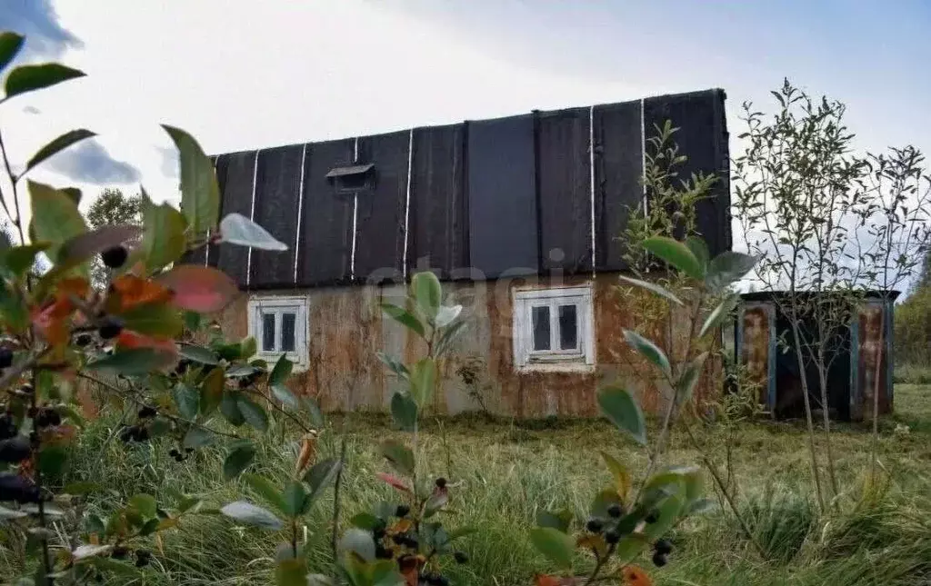 Участок в Ярославская область, Ярославский муниципальный округ, пос. ... - Фото 1