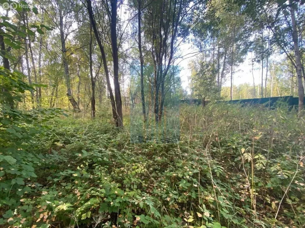 Участок в Московская область, городской округ Серпухов, СНТ Мечта ... - Фото 1