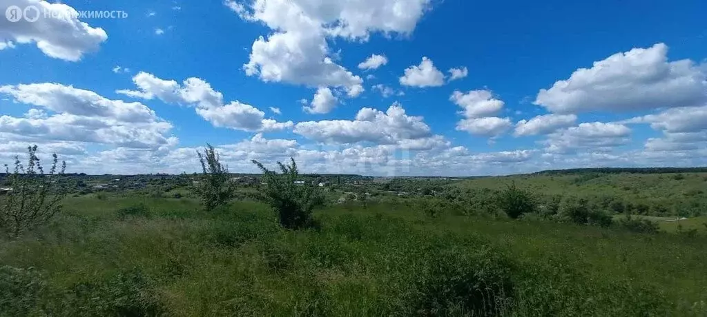 Участок в Рамонский район, село Русская Гвоздёвка, Беговая улица (10 ... - Фото 1