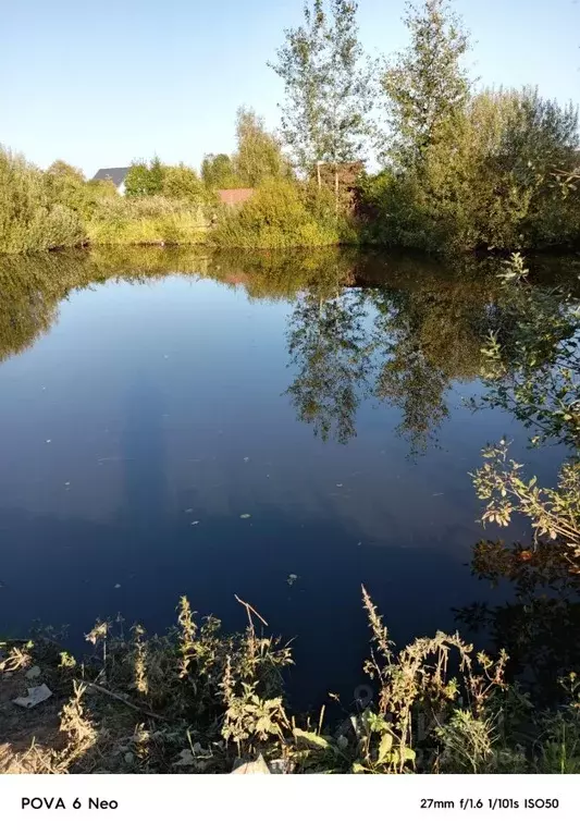 Дом в Московская область, Шаховская городской округ, д. Городково 36 ... - Фото 0