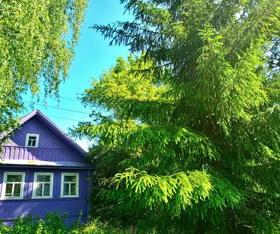 Дом в Новгородская область, Новгородский район, Пролетарское городское ... - Фото 1