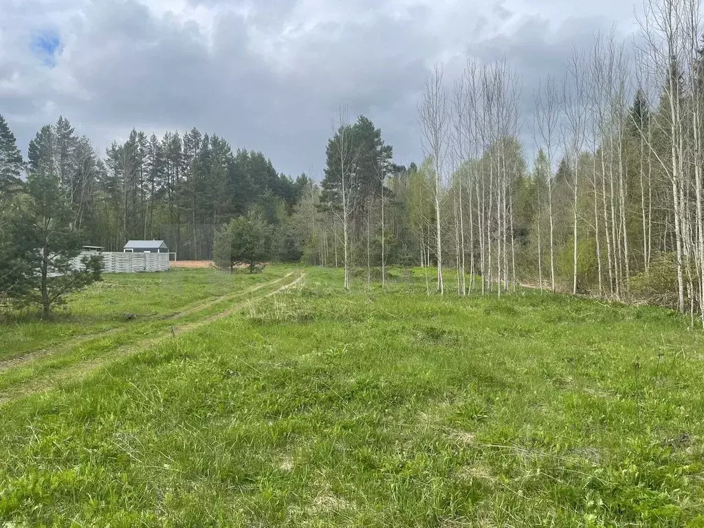 Участок в Новгородская область, Боровичский район, Сушанское с/пос, ... - Фото 1