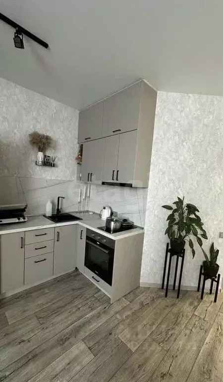Студия Алтай, Майминский район, с. Майма ул. Гидростроителей (31.4 м) - Фото 1