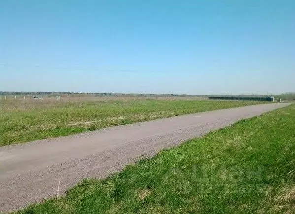 Участок в Ленинградская область, Гатчинский муниципальный округ, пос. ... - Фото 2