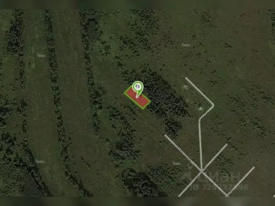 Участок в Московская область, Сергиево-Посадский городской округ, д. ... - Фото 2