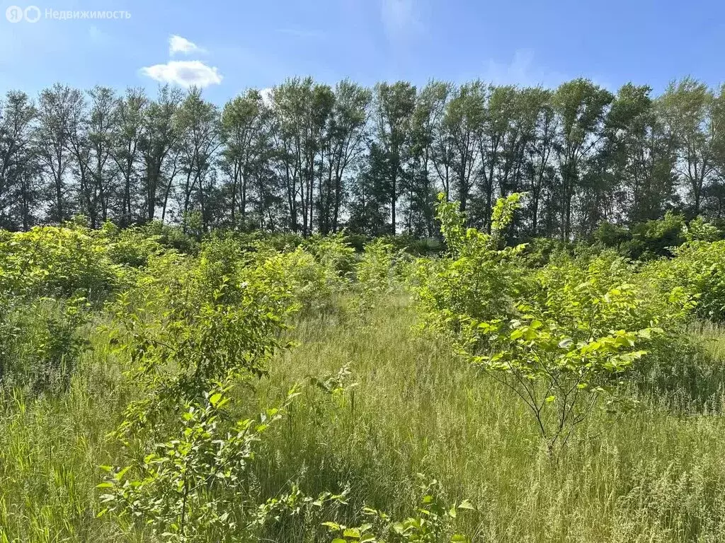 Участок в Кармаскалинский район, Кабаковский сельсовет, село Сихонкино ... - Фото 1