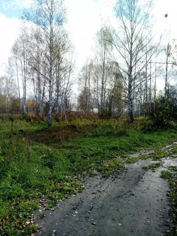 Участок в Свердловская область, Дегтярск (15 м) - Фото 0