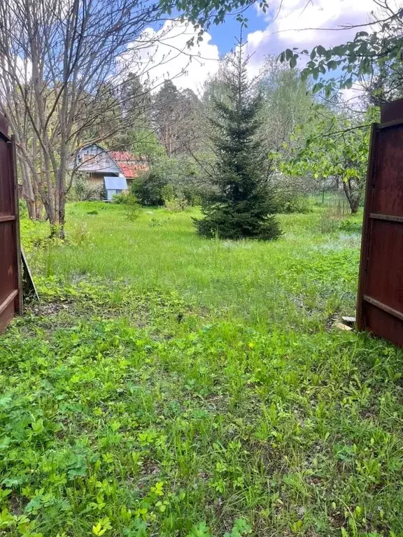 Участок в Московская область, Ступино городской округ, д. Соколова ... - Фото 0