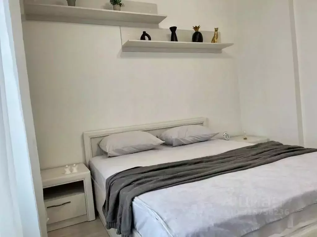 1-к кв. Пензенская область, Пенза ул. Шмидта, 3к1 (43.0 м) - Фото 1