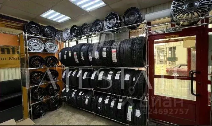 Помещение свободного назначения в Татарстан, Казань просп. Ямашева, ... - Фото 2