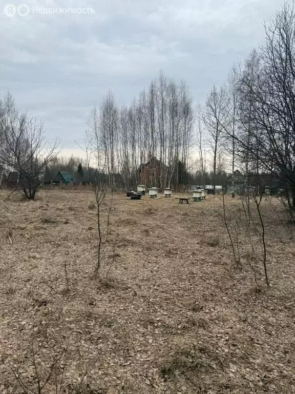 Участок в Тверская область, Кимрский муниципальный округ, деревня ... - Фото 1