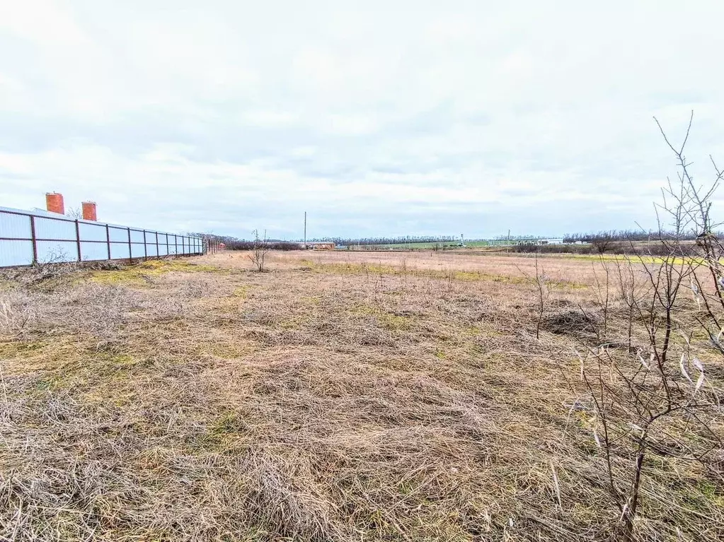 Участок в Краснодарский край, Выселковский район, Березанская ст-ца ... - Фото 1