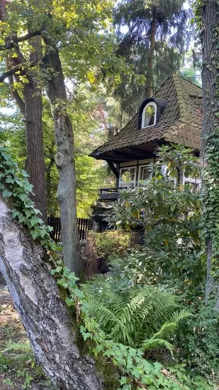 Коттедж в Калининградская область, Светлогорск Курортная ул., 12 (250 ... - Фото 2