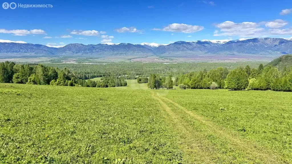 Участок в Усть-Коксинский район, село Мульта (310.01 м) - Фото 2