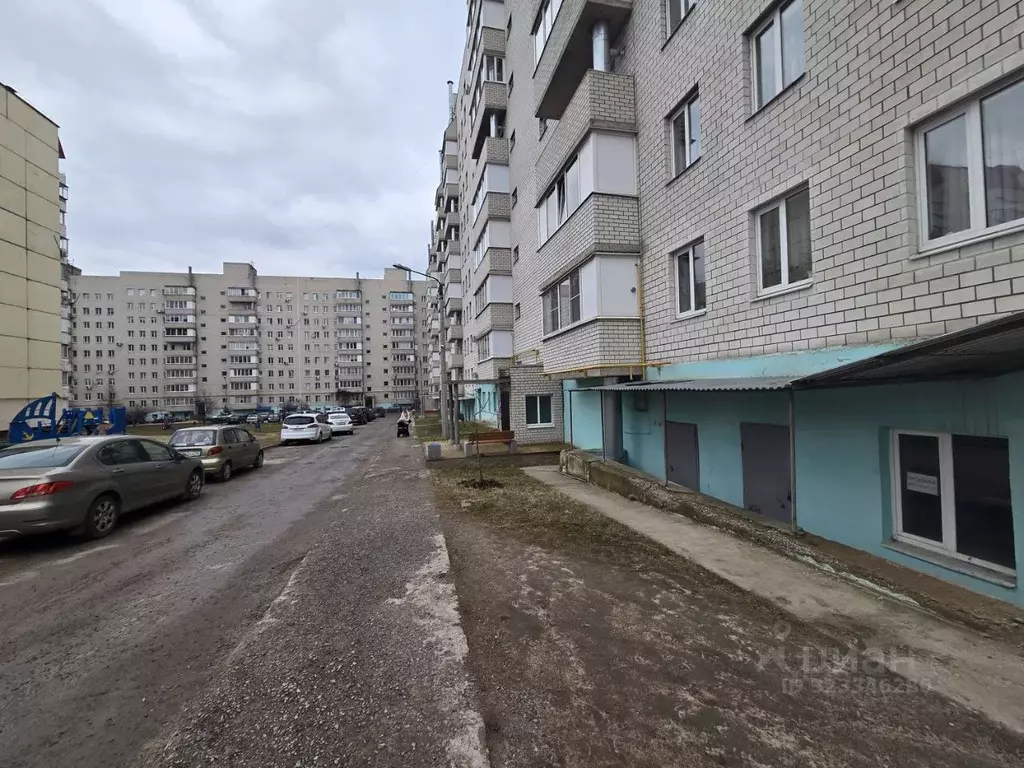 Помещение свободного назначения в Курская область, Железногорск ул. ... - Фото 2