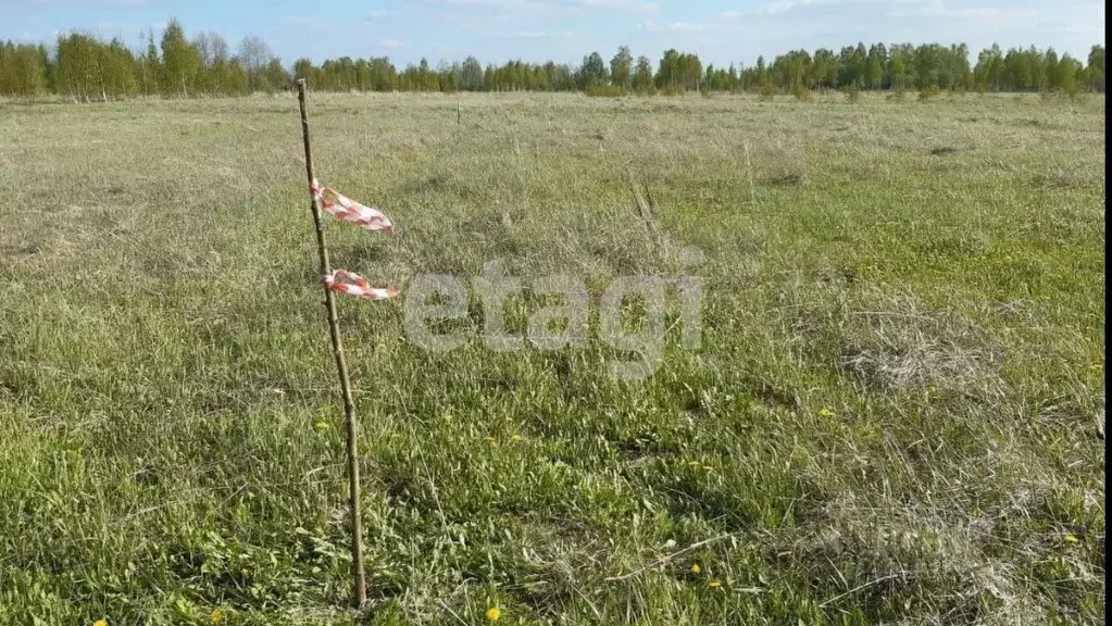 Участок в Костромская область, Нерехта Осенняя ул., 13 (9.0 сот.) - Фото 0