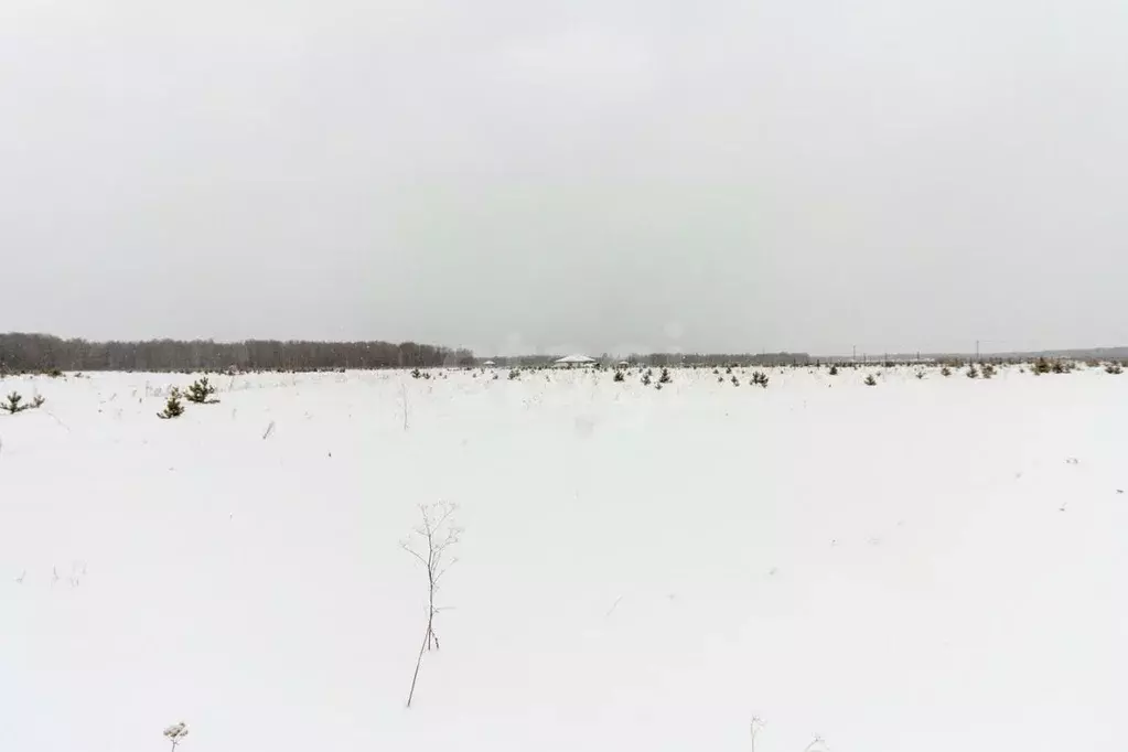 Участок в Тюменская область, Тюменский район, с. Кулига, Кулига-2 мкр  ... - Фото 0