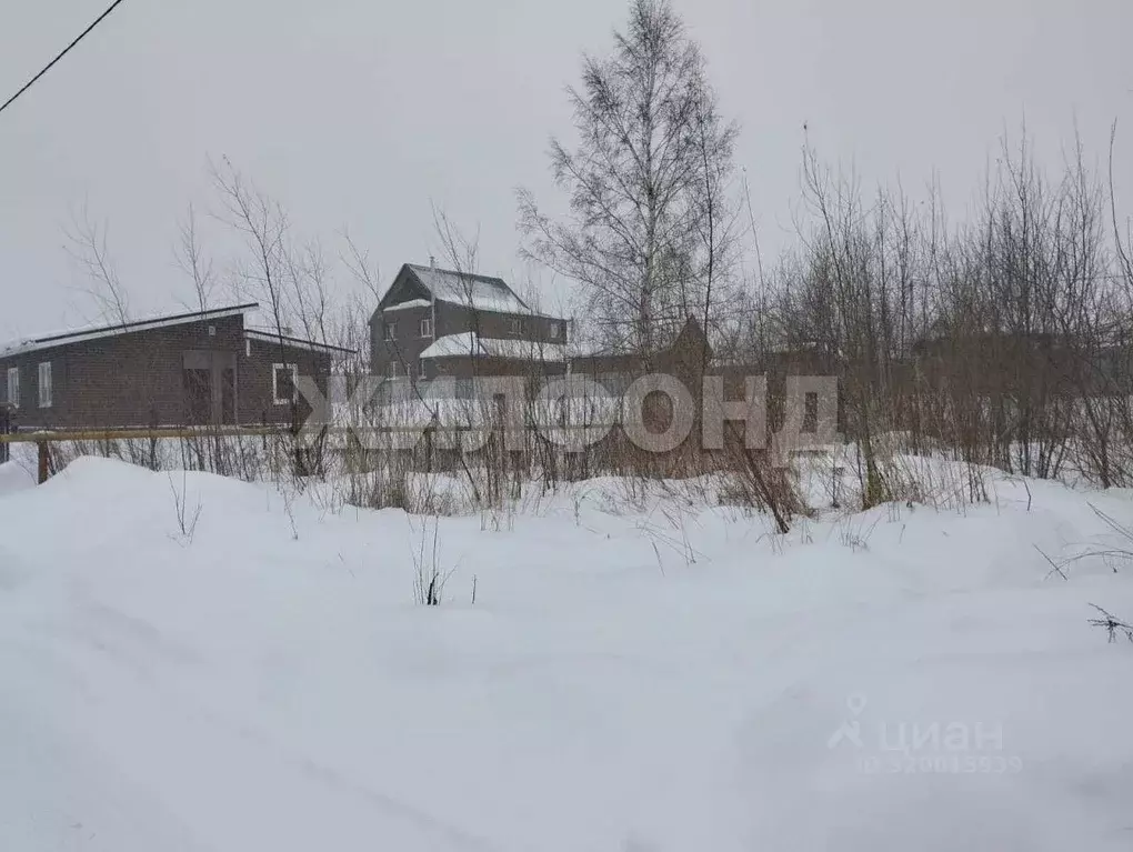 Участок в Новосибирская область, Новосибирский район, Криводановский ... - Фото 0