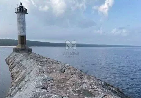 Участок в Ленинградская область, Приозерский район, Ларионовское ... - Фото 0