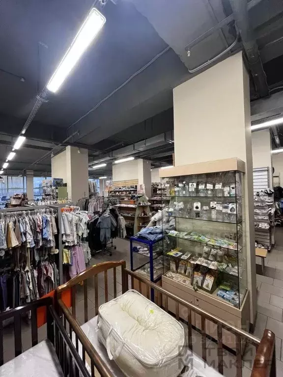 Торговая площадь в Пензенская область, Пензенский район, Засечный ... - Фото 1