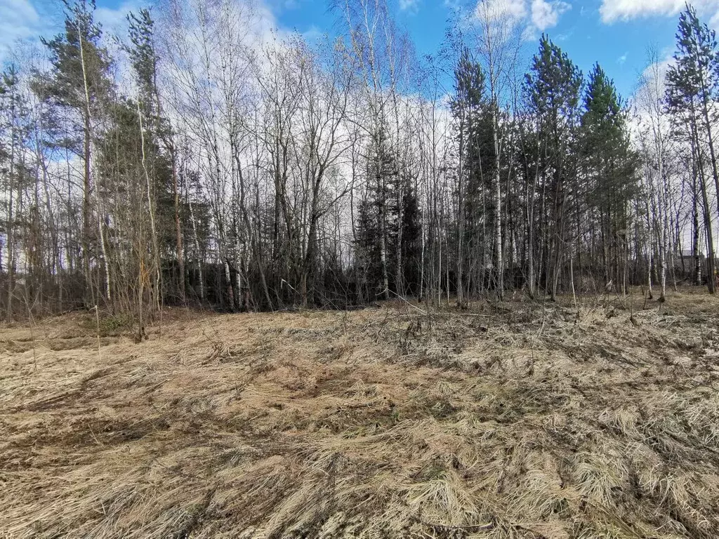 Участок в Ивановская область, Ивановский район, с. Ново-Талицы ул. ... - Фото 2