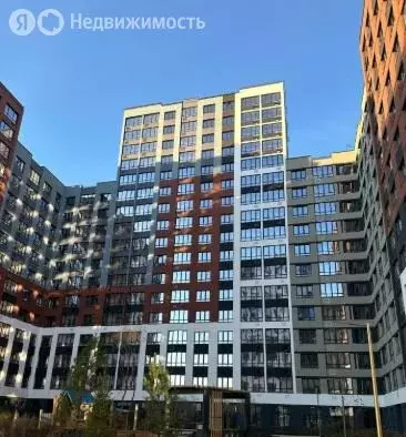 Квартира-студия: деревня Патрушева, улица Петра Ершова, 12 (23.6 м) - Фото 1