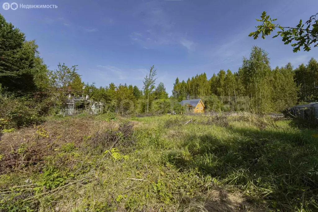 Участок в деревня Красновидово, Луговая улица, 18 (15 м) - Фото 2