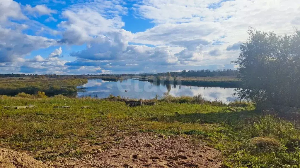 Участок в Псковская область, Островская волость, д. Городище ул. ... - Фото 1