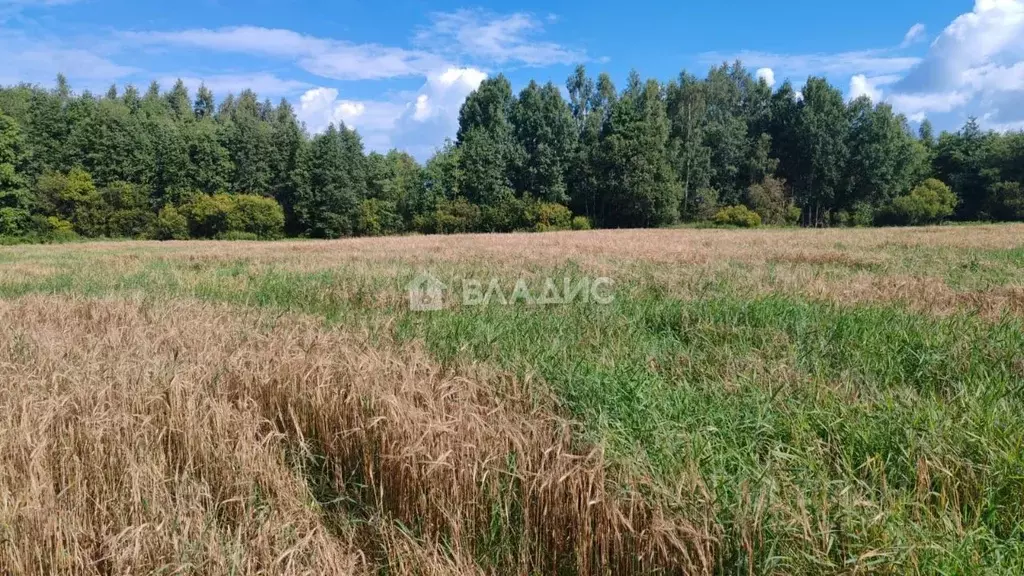 участок в псковская область, пушкиногорский район, пушкиногорье . - Фото 1