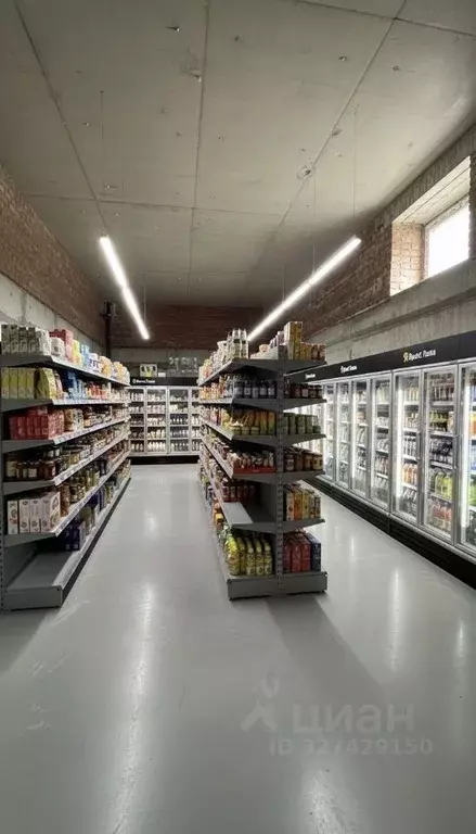 Помещение свободного назначения в Ленинградская область, Отрадное ... - Фото 2